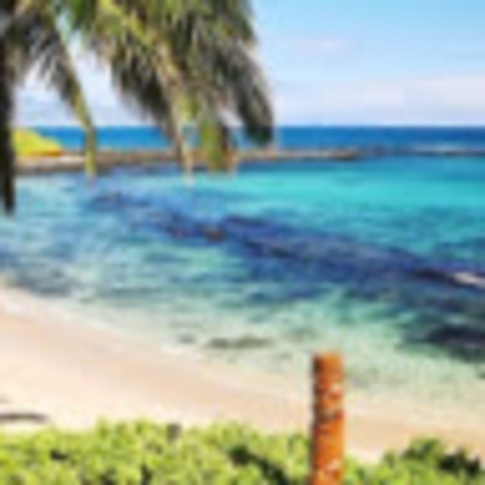 Meet your Posher, Autumn